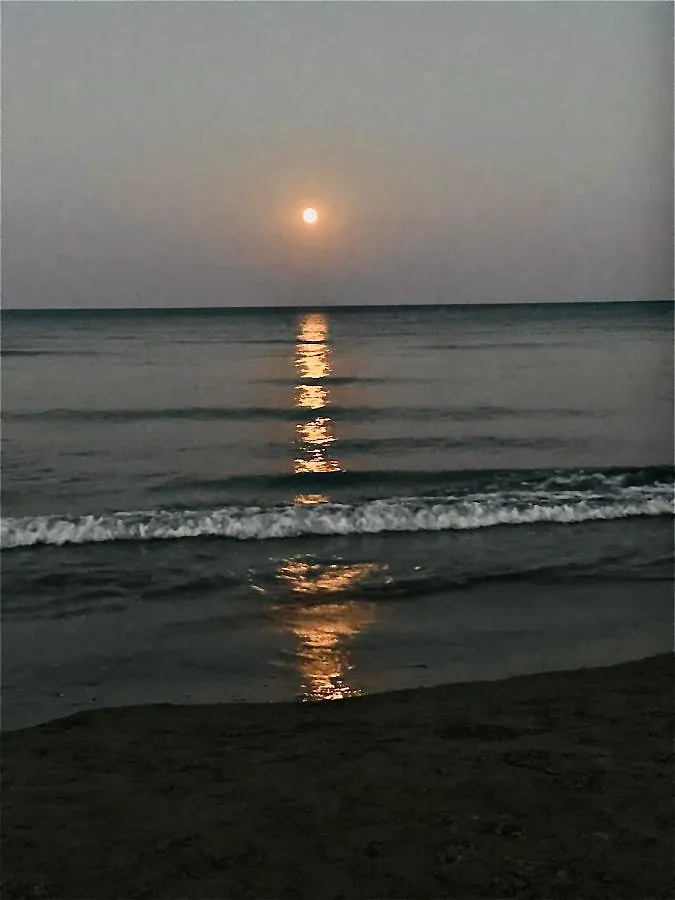 Chadi Apartment Larnaca Cyprus